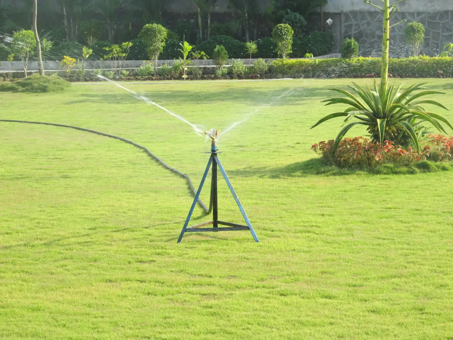 noble-sprinkler