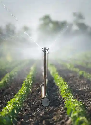 TNB Polymers Sprinkler System